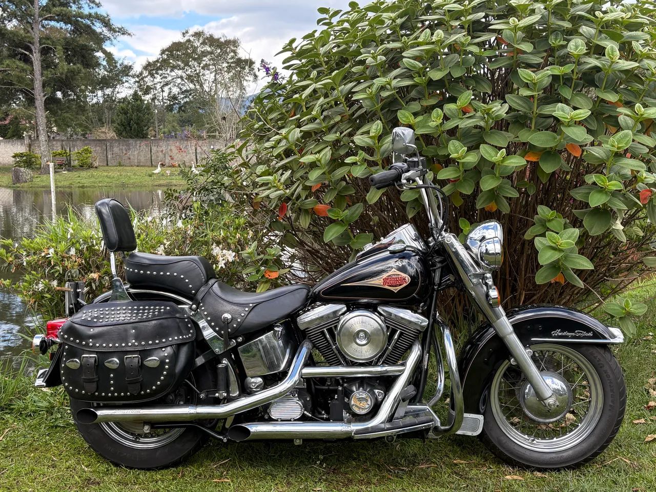 トップス 90s Harley-Davidson EVOLUTIONREVOLUTION Heritage Softail Classic Flstc 1998 - 1535705798 | OLX