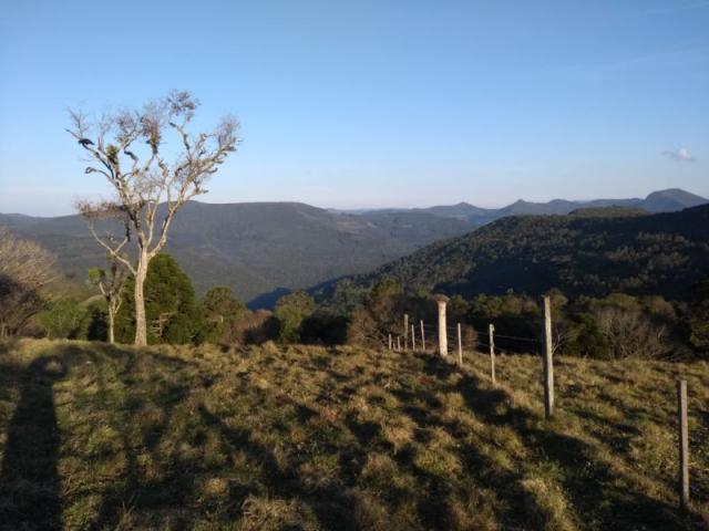 Sítio 12,0 hectares - samambaia - são francisco de paula - rs - Foto 20