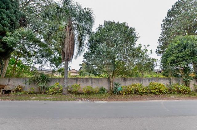 Apartamento à venda com 2 dormitórios em Butiatuvinha, Curitiba cod:144470 - Foto 17