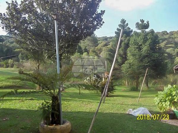 Chácara à venda em Planta laranjeiras, Piraquara cod:136698 - Foto 11
