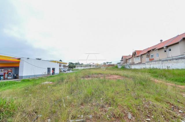 Terreno à venda em Pinheirinho, Curitiba cod:133325 - Foto 5