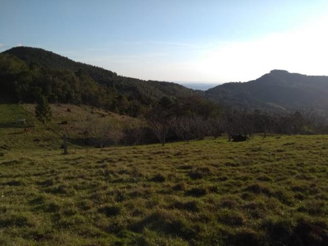 Sítio 12,0 hectares - samambaia - são francisco de paula - rs - Foto 10