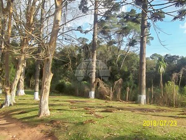 Chácara à venda em Planta laranjeiras, Piraquara cod:136698 - Foto 7