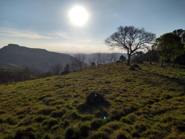 Sítio 12,0 hectares - samambaia - são francisco de paula - rs - Foto 15