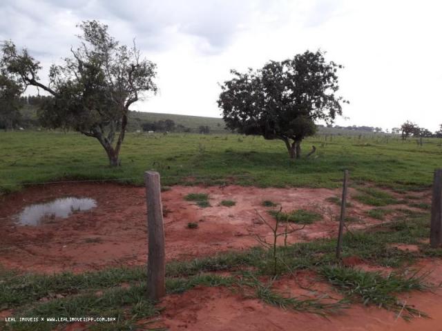 Chácara para venda em martinópolis, km 5 - Foto 3