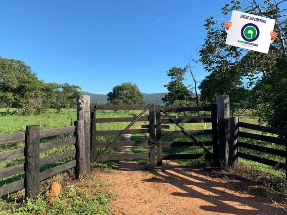 Fazenda região de rosário oeste - Foto 2