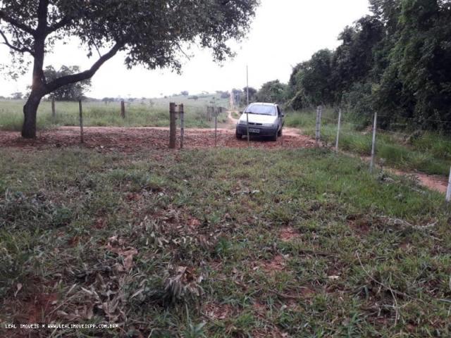Chácara para venda em martinópolis, km 5 - Foto 2