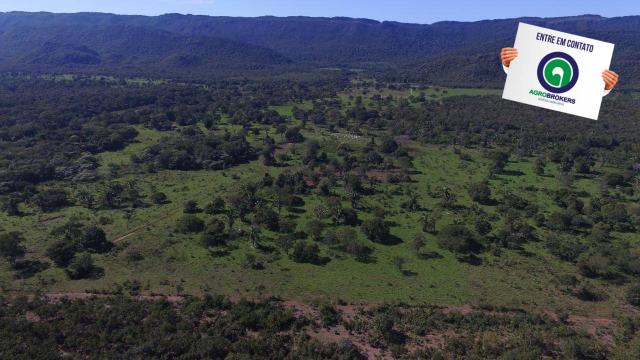 Fazenda região de rosário oeste - Foto 20
