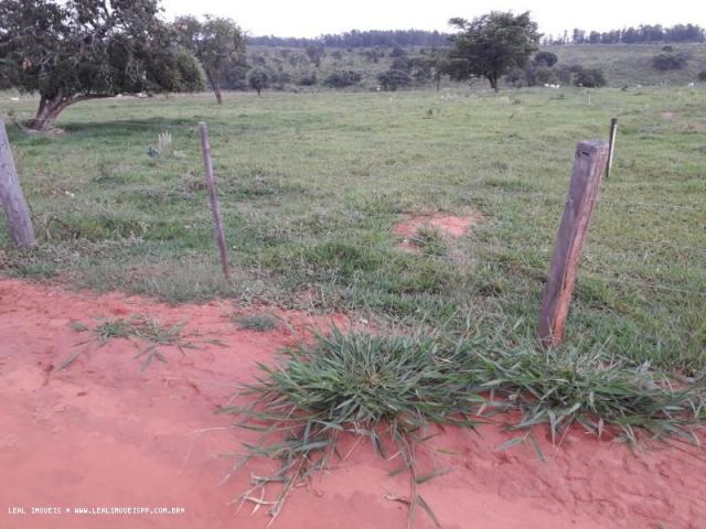 Chácara para venda em martinópolis, km 5 - Foto 9