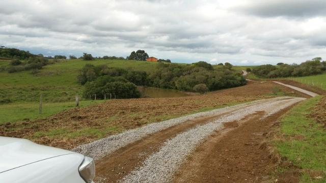 Área especial para sitio ou hortifrutigranjeiros com 12.5 HA - Foto 3