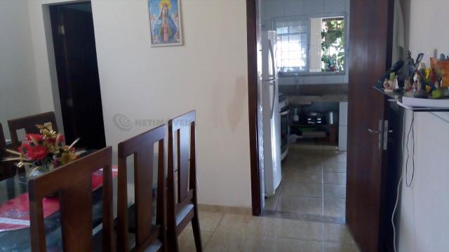 Casa à venda com 3 dormitórios em Pindorama, Belo horizonte cod:569036 - Foto 3