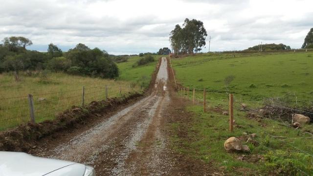 Área especial para sitio ou hortifrutigranjeiros com 12.5 HA - Foto 2