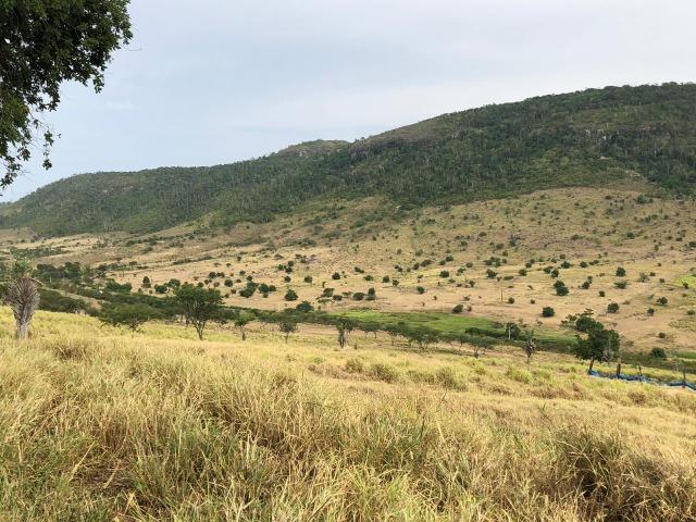 Fazenda na estrada do feijão - Foto 11