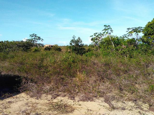 Terrenos em Nova Cabrália, áreas planas - Foto 6