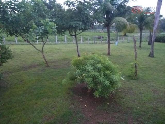 Área rural à venda, maranhão novo, são luís. - Foto 5