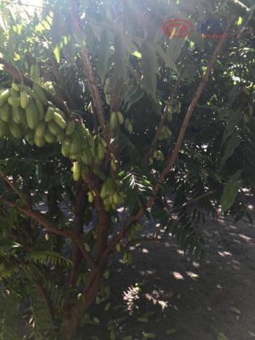 Chácara à venda, 38 m² por R$ 1.100.000 - Iguaíba - Paço do Lumiar/Maranhão - Foto 9