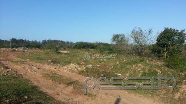 Terreno residencial à venda, novo mundo, gravataí - . - Foto 4