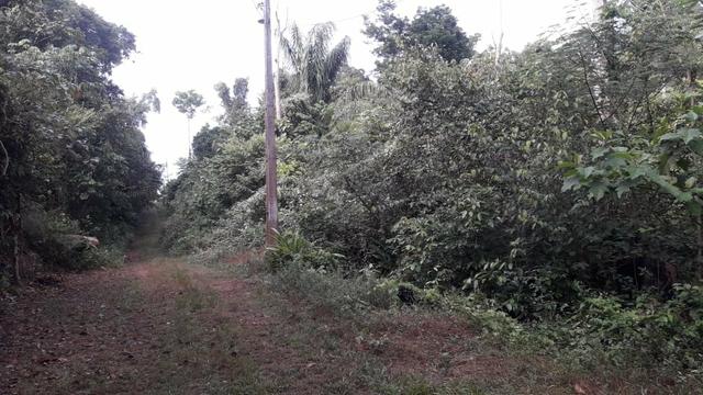 Terreno na estrada de Manacapuru 10 mil - Foto 2