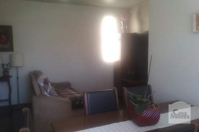 Apartamento à venda com 3 dormitórios em Jardim montanhês, Belo horizonte cod:252172 - Foto 2