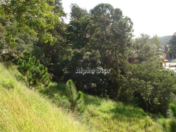 Terreno residencial à venda, condomínio nova são paulo, itapevi - te0505. - Foto 5