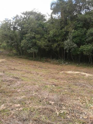 Ref. 702-1 Chácara de 2.000 m² com energia elétrica já instalado na Campina das Pedras - Foto 4