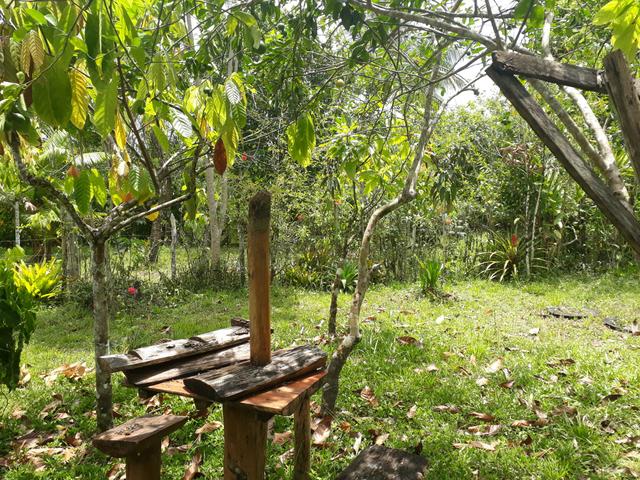 Vende-se ou Aluga-se quiosque no distrito de Cachoeira do Tremembé - Foto 11