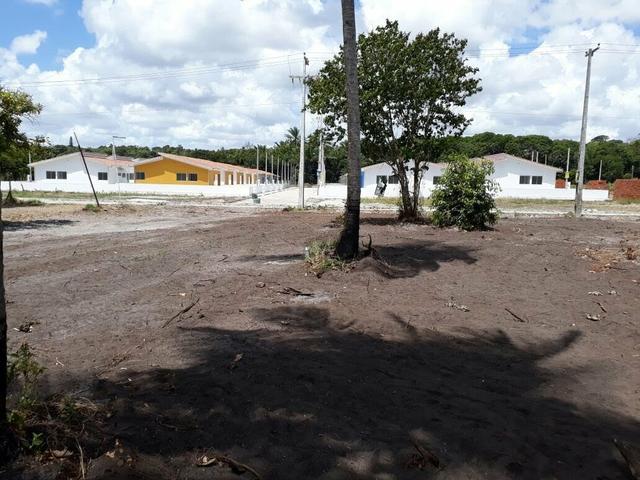 Terrenos - Foto 5