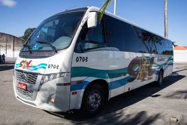 Micro WL Limousine com poltronas 1060 super soft - Turismo