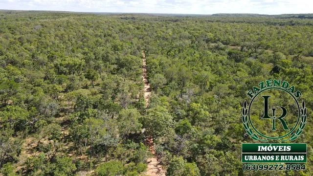 Fazenda  125 Alqueires Bruta Tocantins Dupla Aptidão - Foto 2