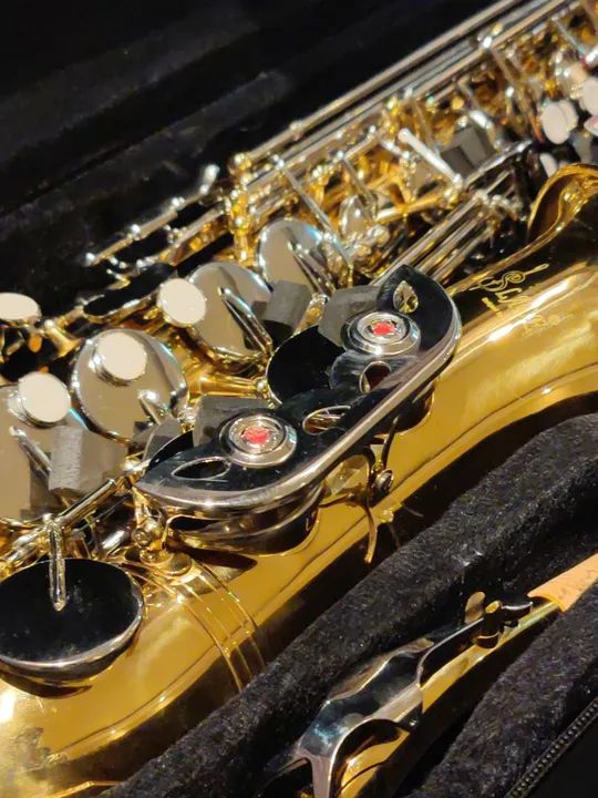 R$ 2.500,00 Sax Alto Saxofone Alto Novo Zero no Plástico Extraordinário - Foto 4