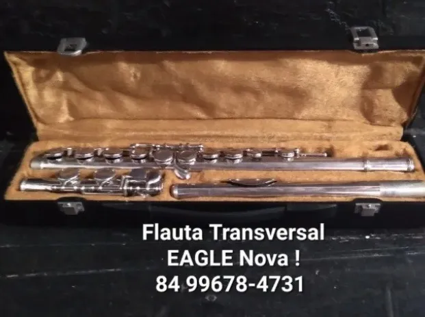 Flauta Transversal EAGLE Nova Vendo e Troco