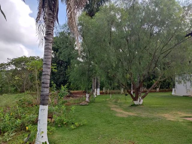 Chácara Condomínio nova Itália - Foto 3