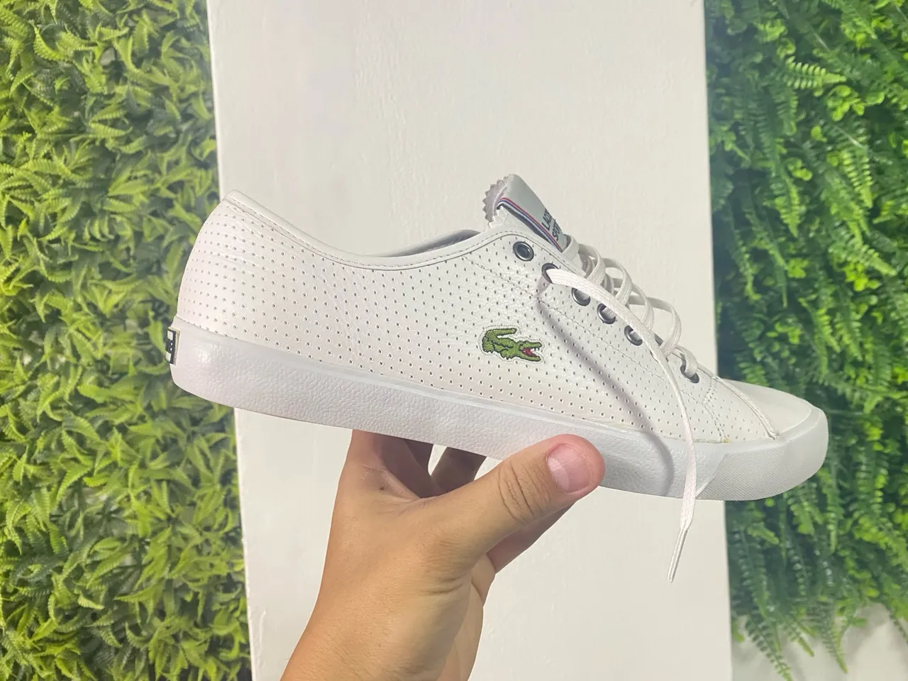 Sapato Lacoste