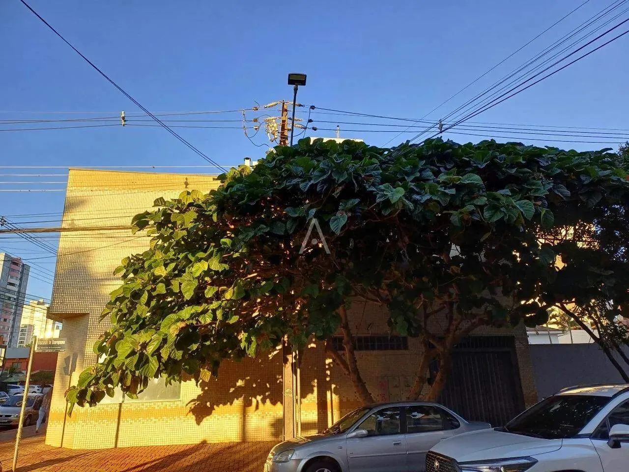Apartamento duplex para locação no Centro de Cascavel - Foto 2