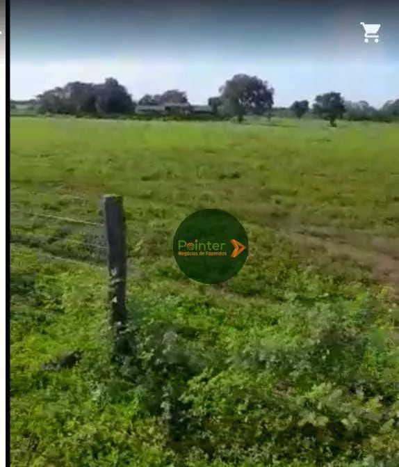 Fazenda à venda, por R$ 14.640.000 - Zona Rural - Duerê/TO - Foto 2
