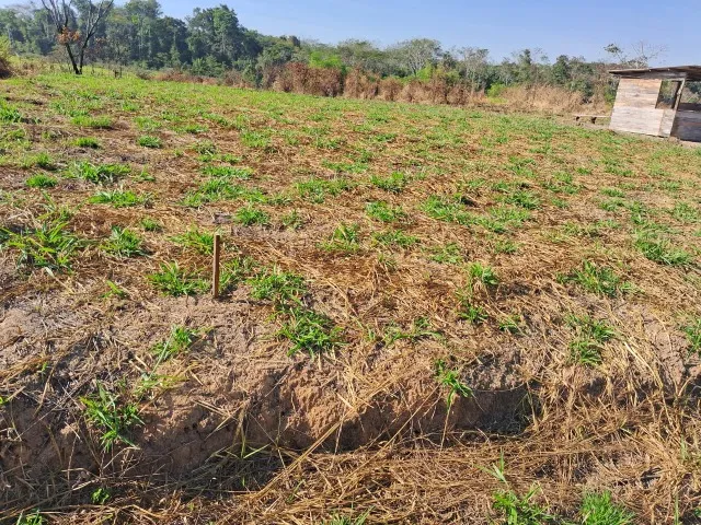Terreno na Estrada do Mutum Km 03