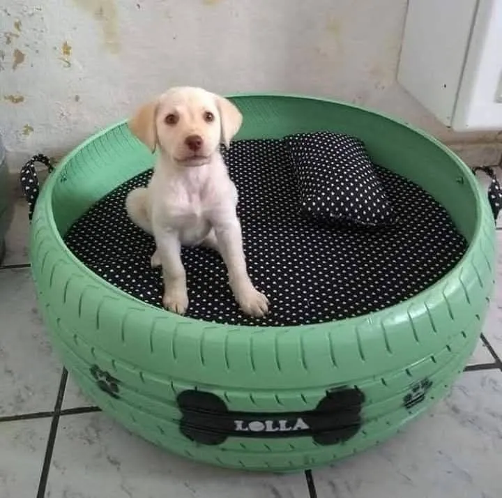 Cama ecológica feita de pneu para cachorro - Lolla