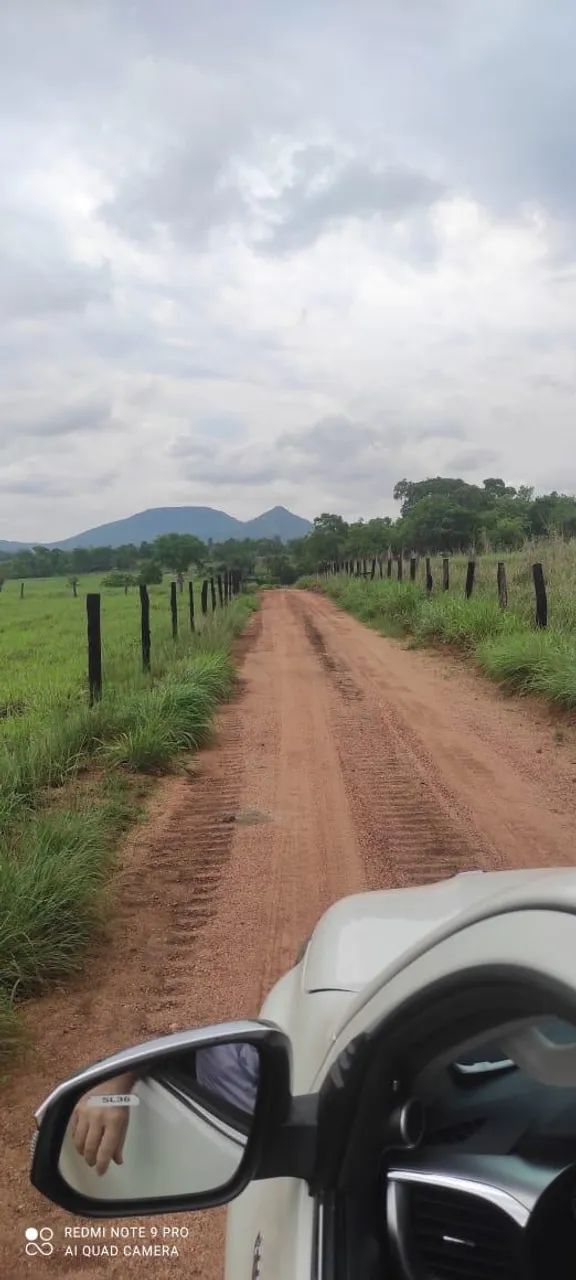 Faz 61. 5 Alq  45 Alq de Pasto próx Paraíso Do Tocantins  - Foto 3