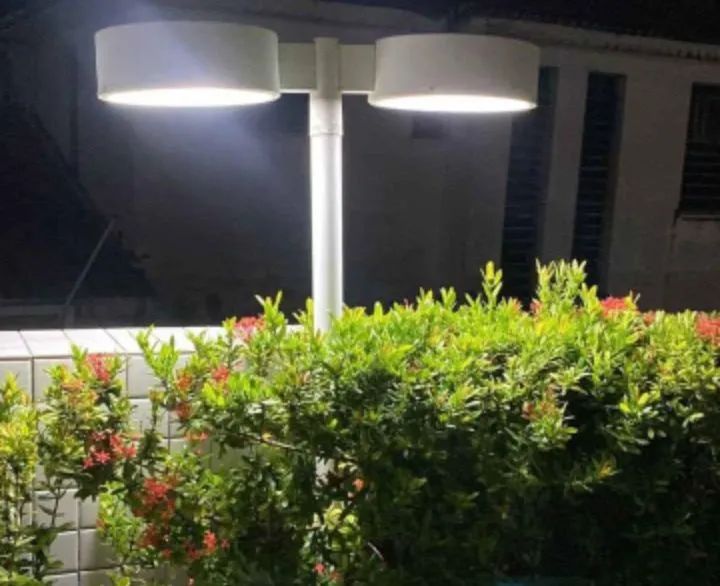 Poste pétala simples moderna e elegante - Foto 5