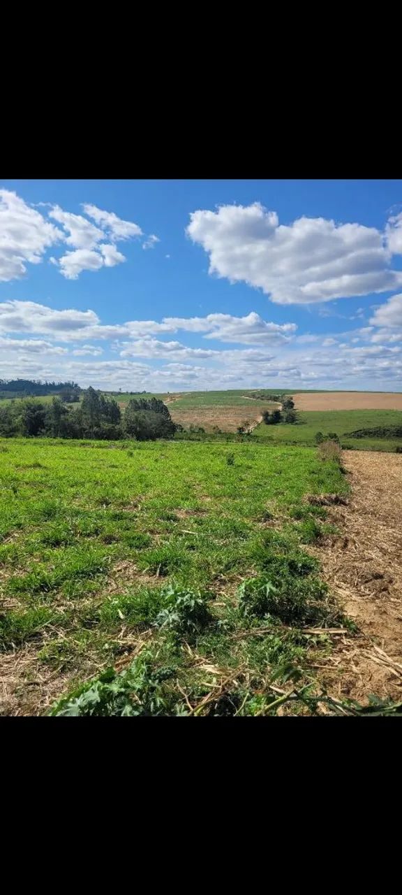 Sítio de 1 alqueire próximo ao Bairro fundão  - Foto 2