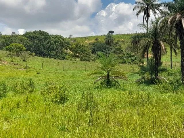 Fazenda de 50ha em Dores do Indaiá - Foto 6