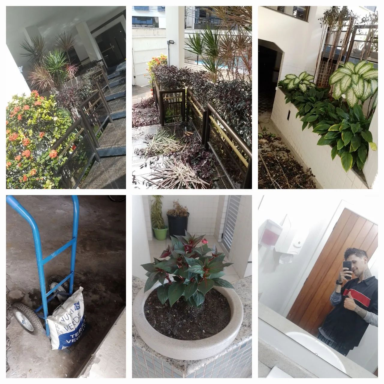 JARDINEIRO PROFISSIONAL 
