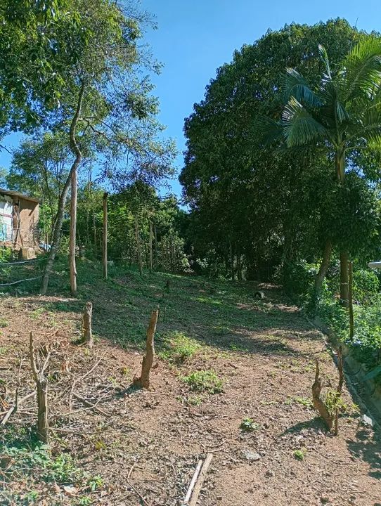 Terreno  - Foto 2