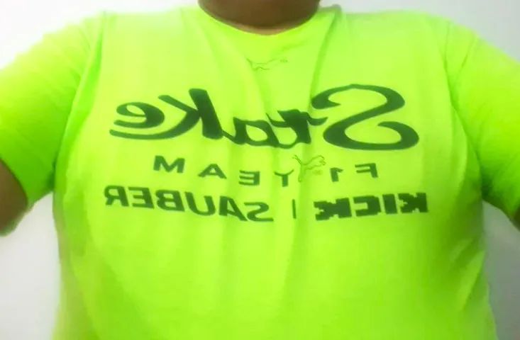 camiseta estilo F1 - Gabriel Bortoleto - Stake - verde 