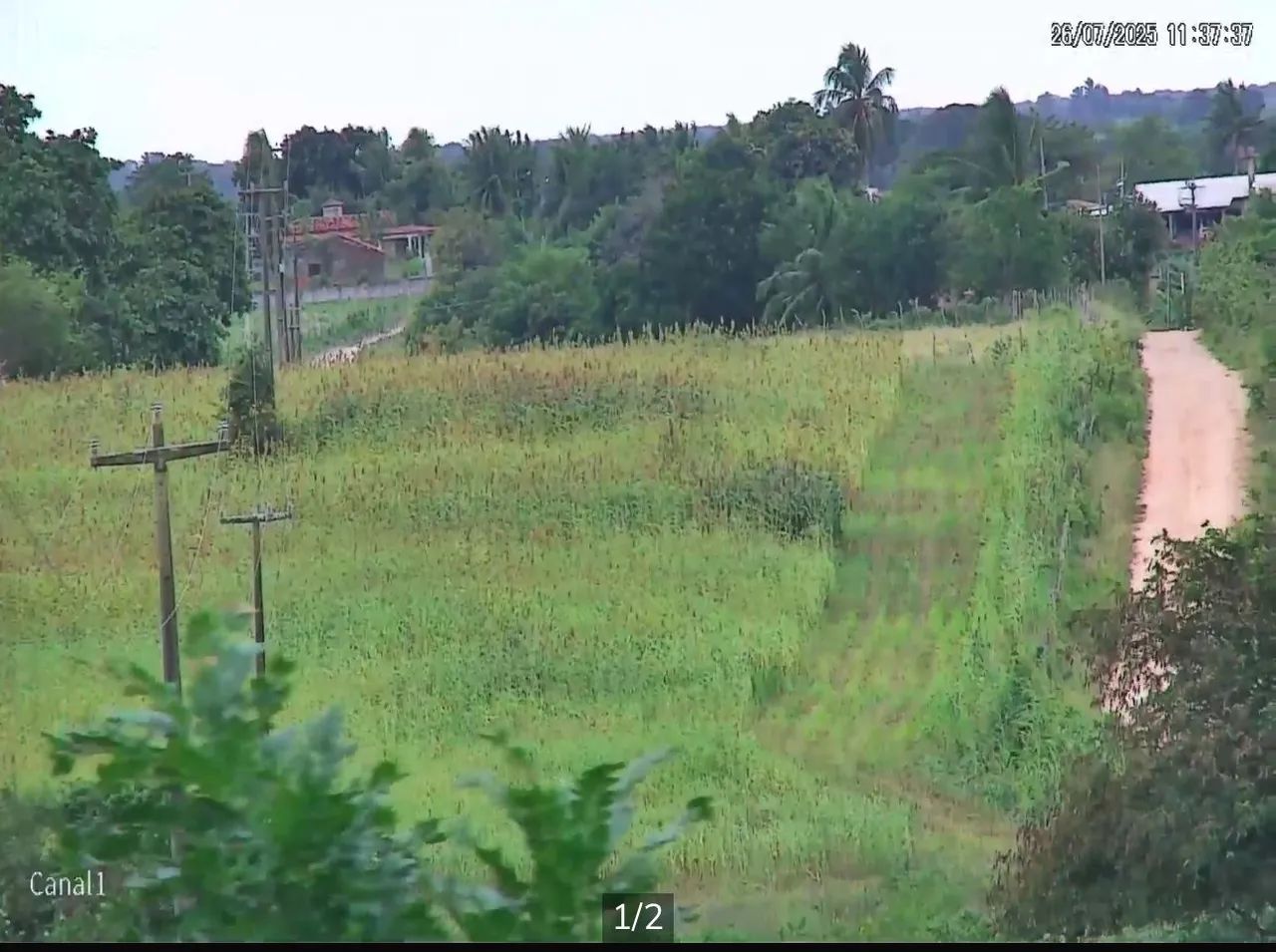 SILAGEM PREMIUM NO RN 64298558179587121