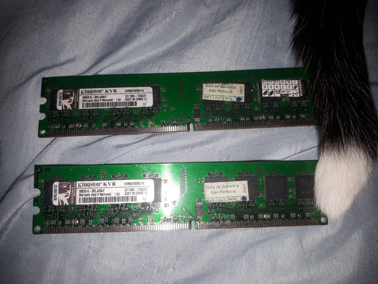 2 Kingston DDR2 1GB 667MHz RAM Memories64385503027203120