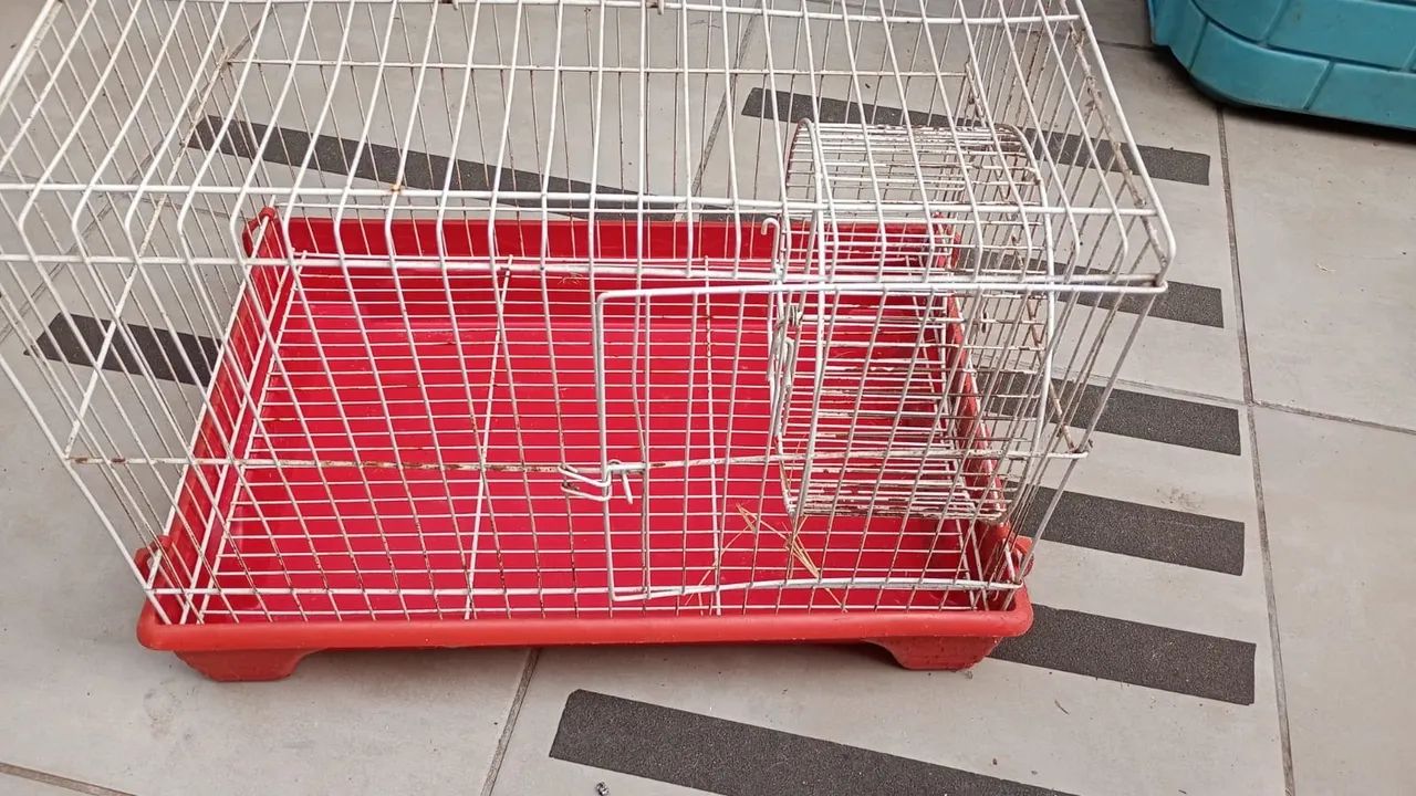 Gaiola64298892150657121