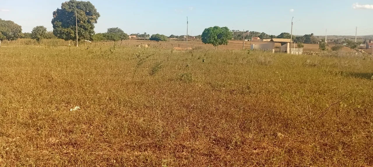 Repasse de terreno no povoado Fernandes