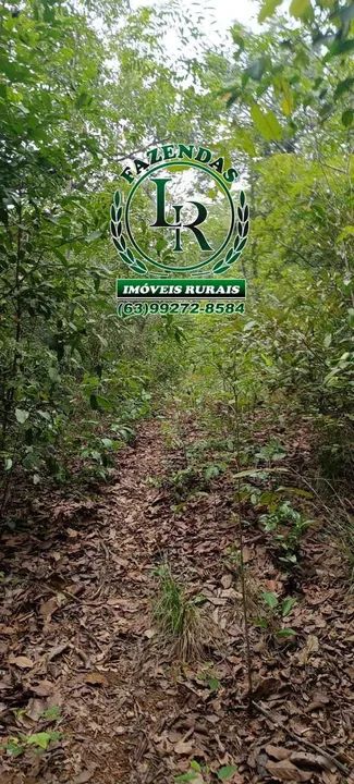 Fazenda dupla Aptidão 65 Alqueires - Foto 2