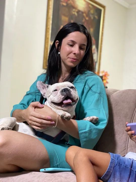 Bulldog Francês macho para Cruzar, namorar ter filhotes  - Foto 5